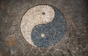 Read more about the article Yin Vs. Yang: What’s The Difference?